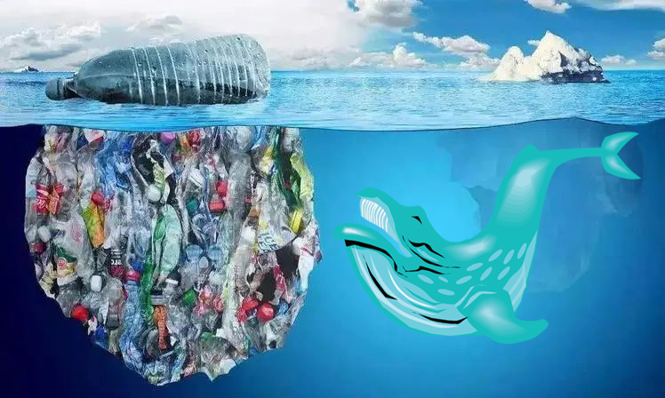 How Long does it Take for Plastic to Degrade？