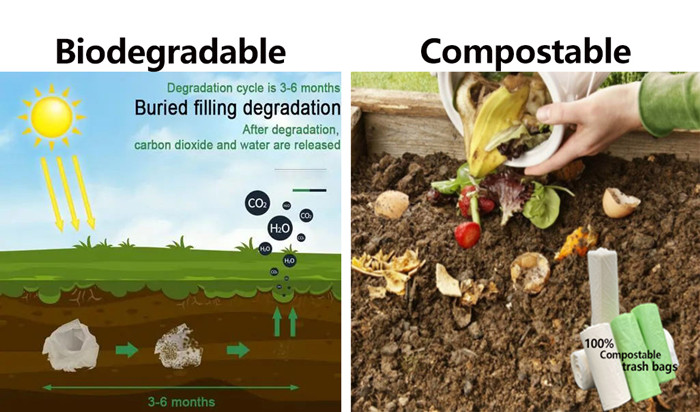 Are Biodegradable Bags The Same As Compostable?cid=5