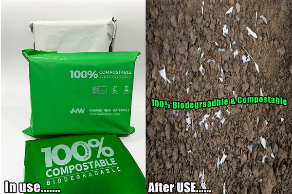 The Difference Between Biodegradable Mailer Bags And Traditional Mailer Bags