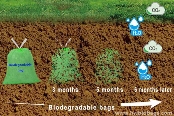 The Difference Between Fully Degradable Plastic Bags And Pseudo Degradable Plastic bags