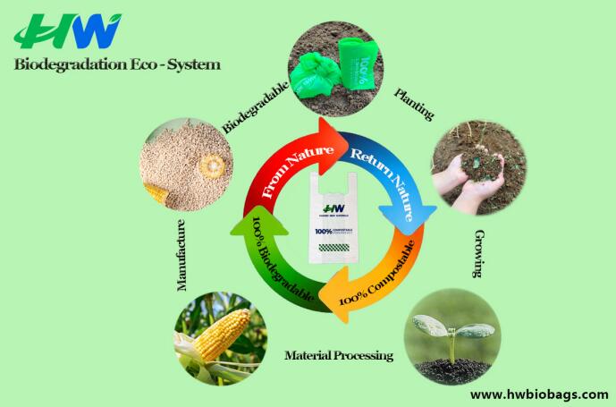 The Difference Between Fully Degradable Plastic Bags And Pseudo Degradable Plastic bags