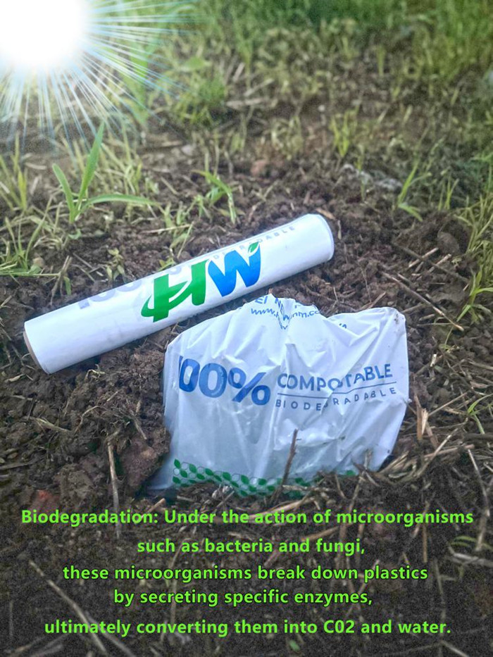 Does Biodegradable Plastic Bags Have an Impact on Environmental Protection