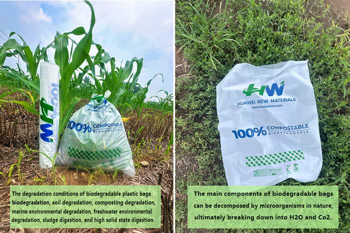 Shelf Life of Biodegradable Bags