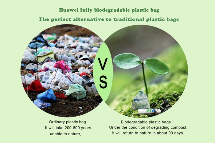 Shelf Life of Biodegradable Bags