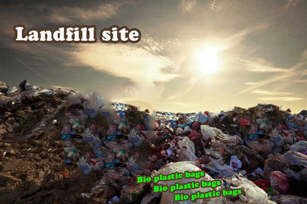 What Happens to Bio Plastic Bags in The Landfill?cid=5