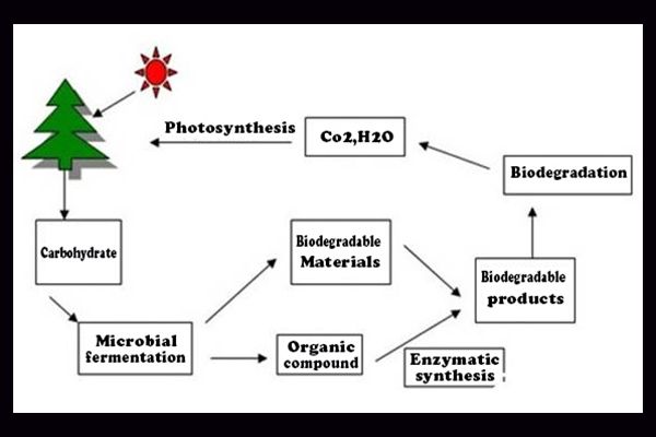 How Bio Plastic Bags Support Sustainable Product Manufacturing