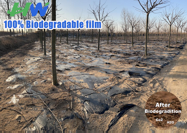 100% Biodegradable Plastic Film