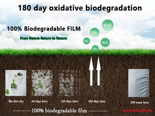 100% Biodegradable Plastic Film