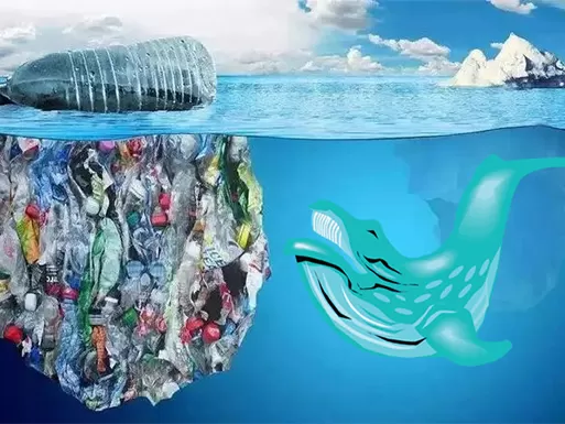 How Long does it Take for Plastic to Degrade？