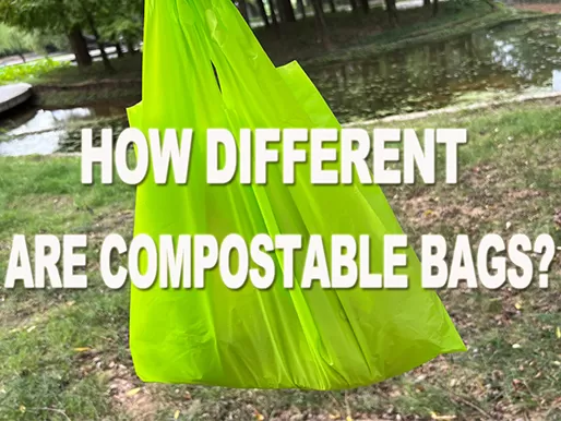 How Different Are Compostable Bags?