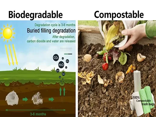 Are Biodegradable Bags The Same As Compostable?