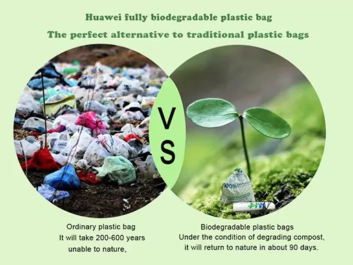 Shelf Life of Biodegradable Bags