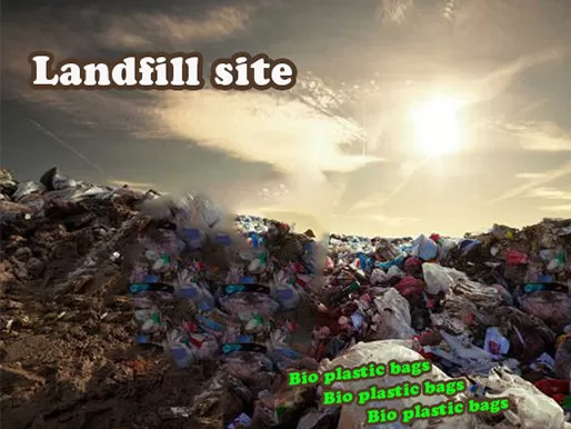 What Happens to Bio Plastic Bags in The Landfill?