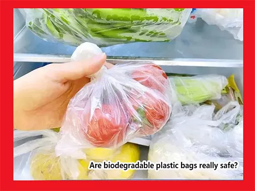 How Biodegradable Plastic Bags Decompose Without Releasing Toxins