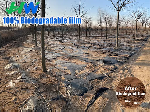 100% Biodegradable Plastic Film